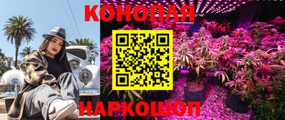 герыч Дубна