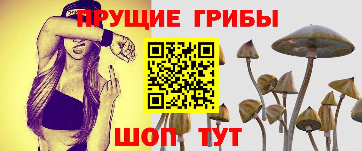 Галлюциногенные грибы Magic Shrooms Курчалой